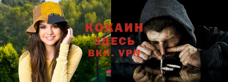 мега зеркало  что такое   Новоалександровск  COCAIN VHQ 